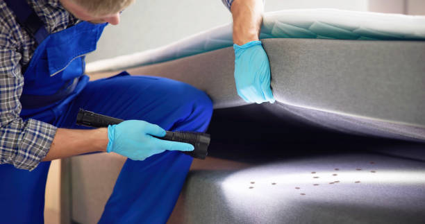 Trusted Pleasant Gap, PA Pest Control Experts