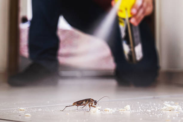 Wasp Removal Services in Pleasant Gap, PA