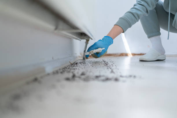 Best Emergency Pest Control  in Pleasant Gap, PA